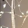 Tree light with silver bark