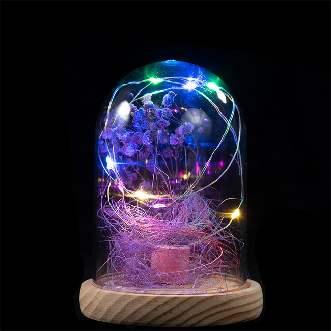 EVERMORE Purple Open-herding With Thread 8L Multicolor LED Bare Wire Glass Cover Light