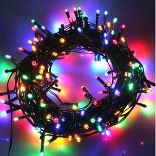 Outdoor Black Wire Christmas Decoration LED String Light
