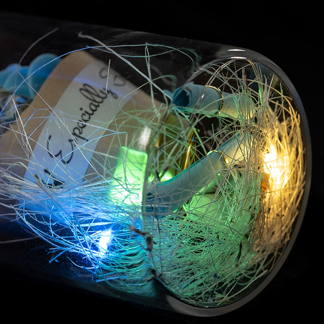 EVERMORE Blue Rose Dried flowers With Natural Color Thread and Letter 4L Multicolor LED Bare Wire Glass Cover Light