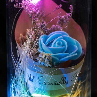 EVERMORE Blue Rose Dried flowers With Natural Color Thread and Letter 4L Multicolor LED Bare Wire Glass Cover Light