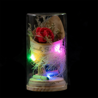 EVERMORE Red Rose Dried flowers With Natural Color Thread and Letter 4L Multicolor LED Bare Wire Glass Cover Light