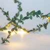 Christmas Indoor Decoration Green Garland LED String Light