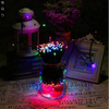 Outdoor Black Wire Christmas Decoration LED String Light