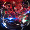 EVERMORE Red Open-herding With Thread 8L Multicolor LED Bare Wire Glass Cover Light